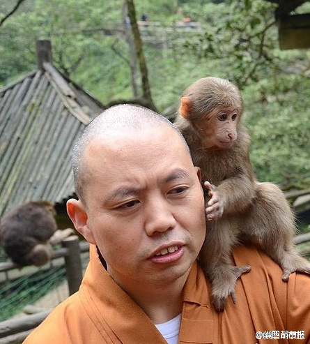 那家网络播放夫淒特别黄色性生活片