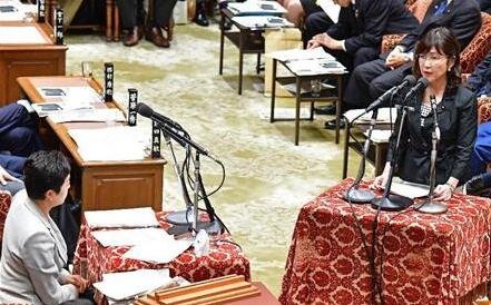 国产v片