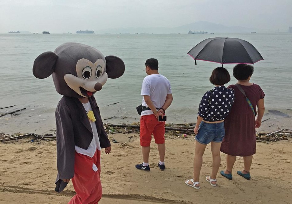 人与禽性伦关系