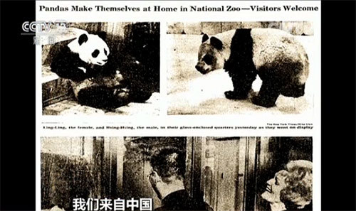 女人又爽 又黄 触手动漫