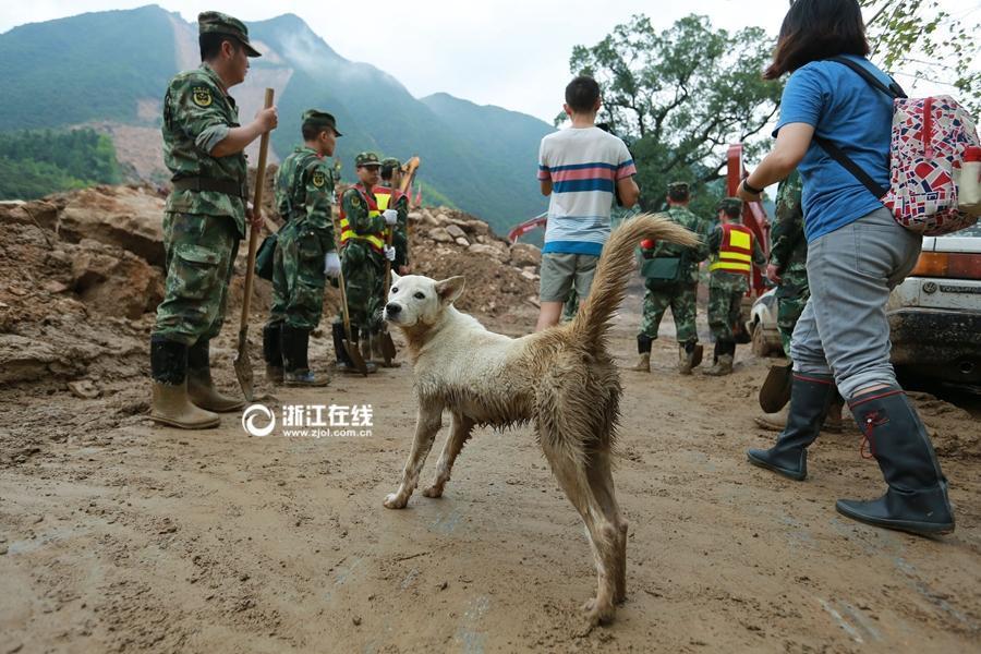 美女裸照网站免费视频