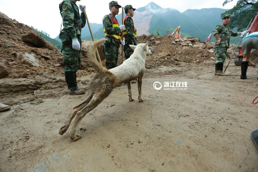 古装一级A片 女