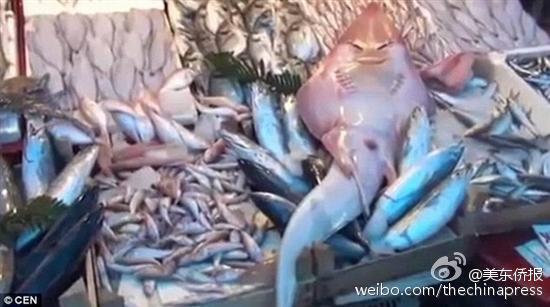 可以看美女隐私的软件