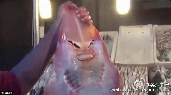 美女裸体网站