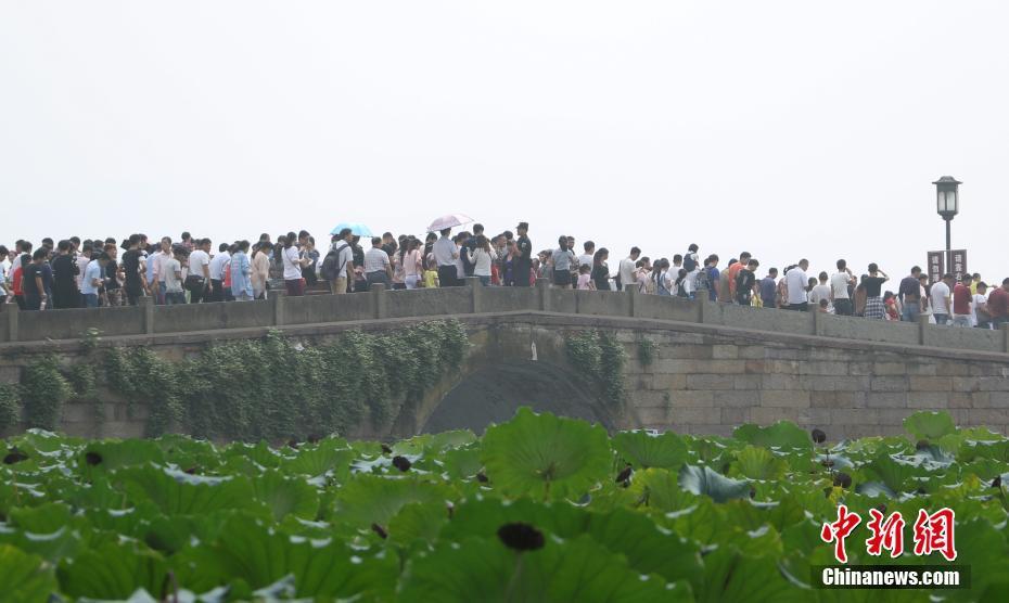 黄色免费在线观看