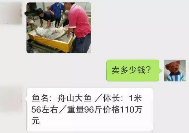 农村丰满壮实老熟女