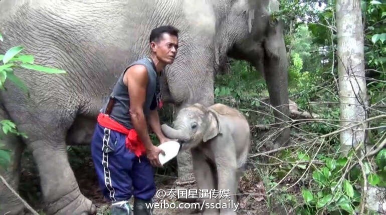 欧美熟妇另类久久久久久牛牛影视