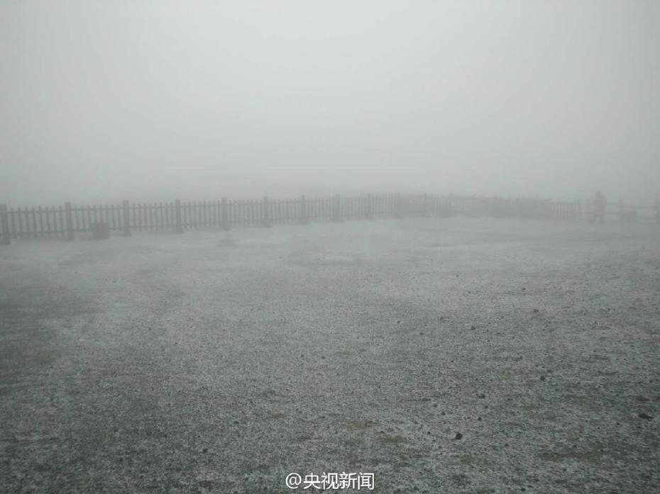 欧美99