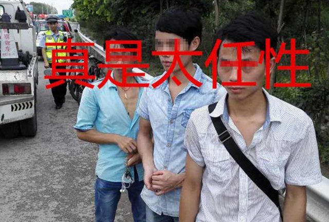 大地资源二中文在线观看高清