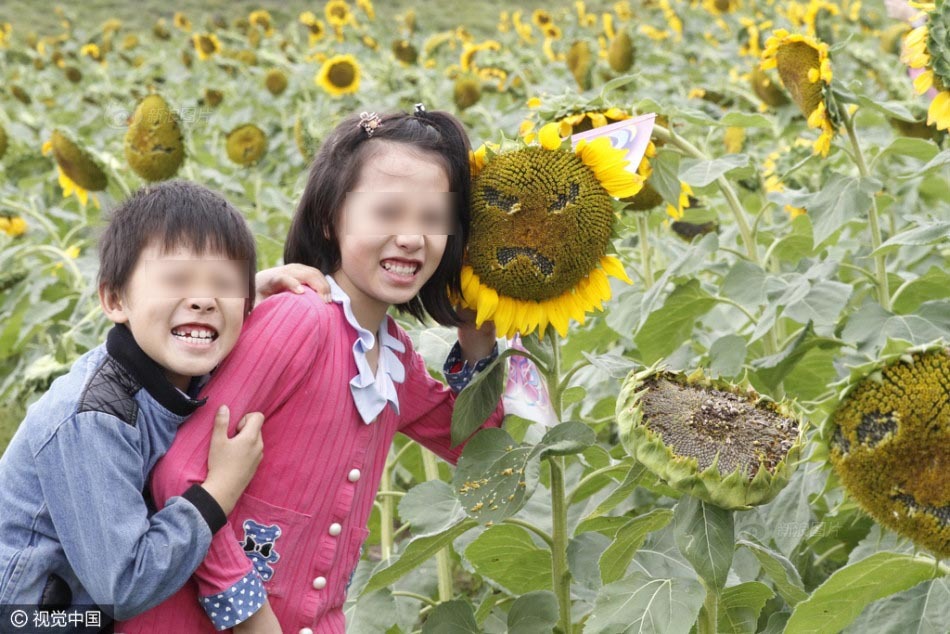 侠客风云传