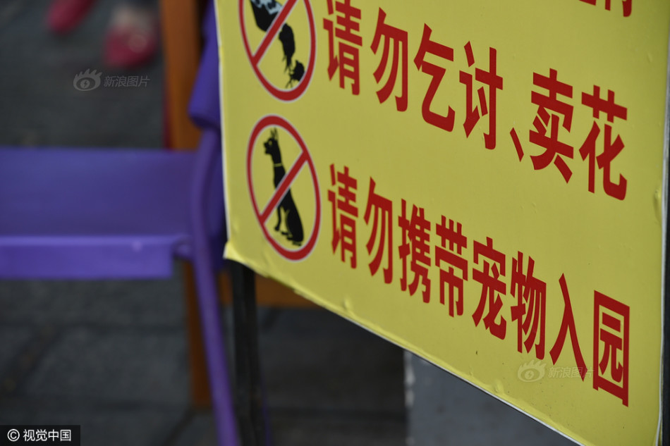 上原衣亚无码视频