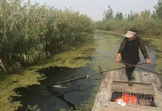 成 人 电影