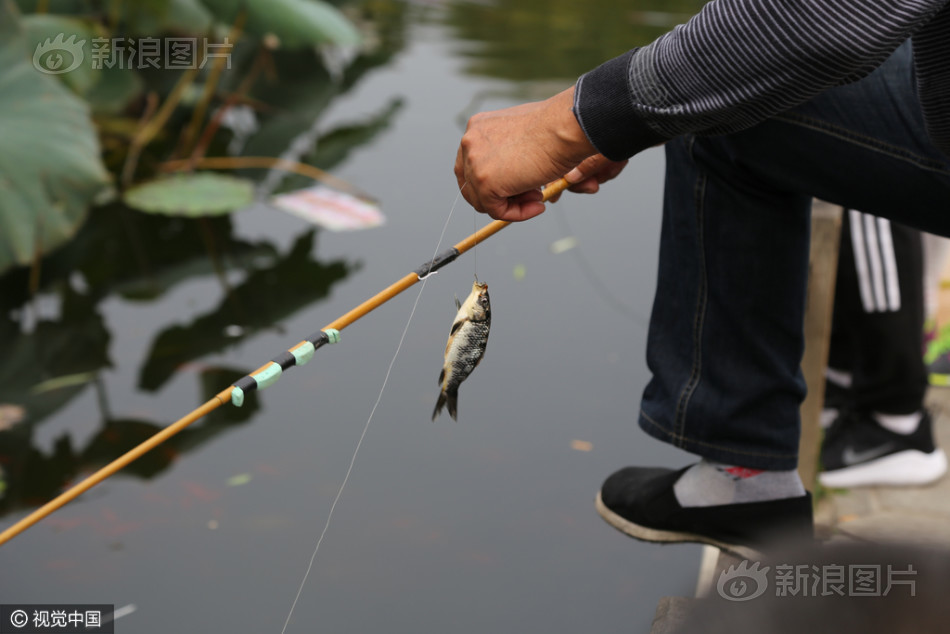 黄色 短 片