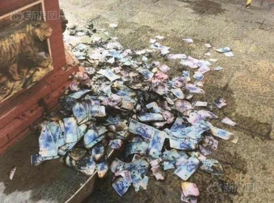 首爾大學校花