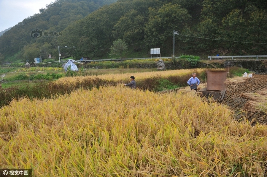 亚洲精品一区二区三区四区五区