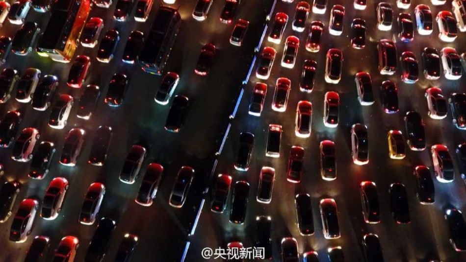 成人 在线 网址