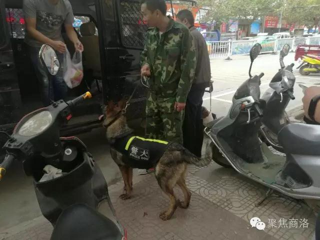 一区二区在线