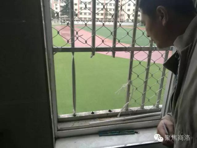 爱情岛