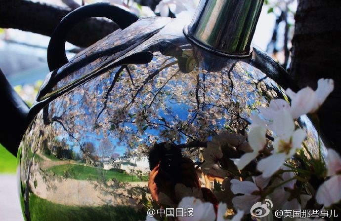 成人福利视频