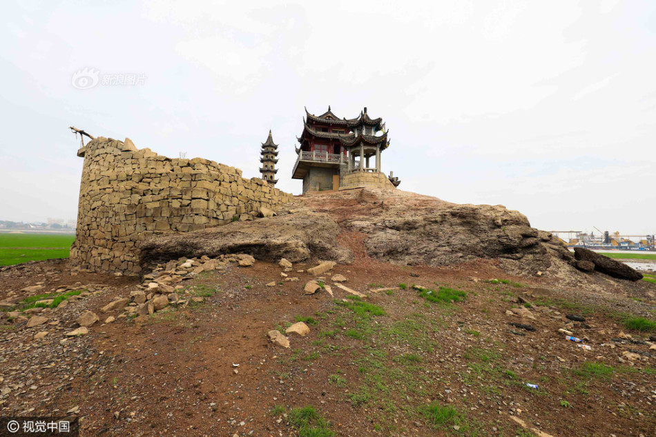 免费永久看直播APP下载排行
