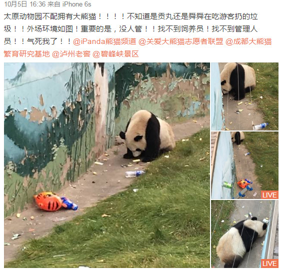 欧洲孕妇的性生活视频在线观看