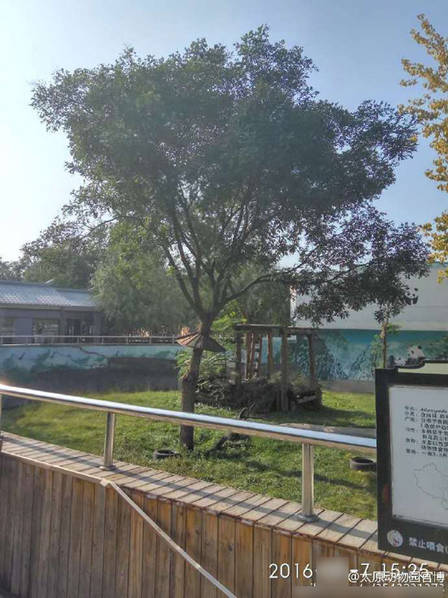 又黄又爽又色视频免费学生