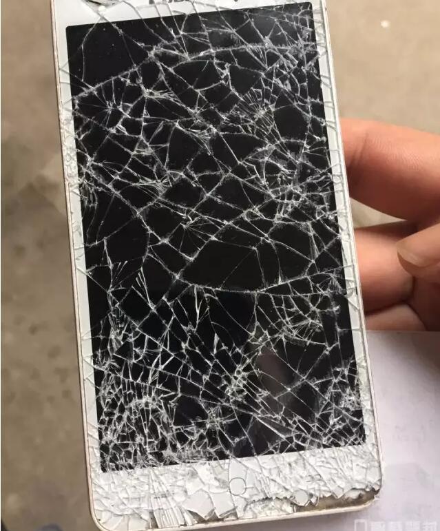 柏芝底部毛旺盛手扒