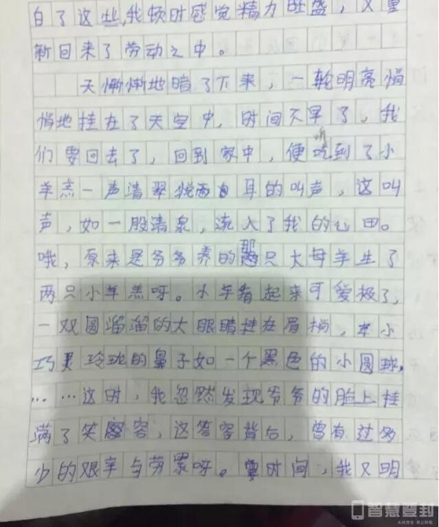 黄网站在看?免费无码线