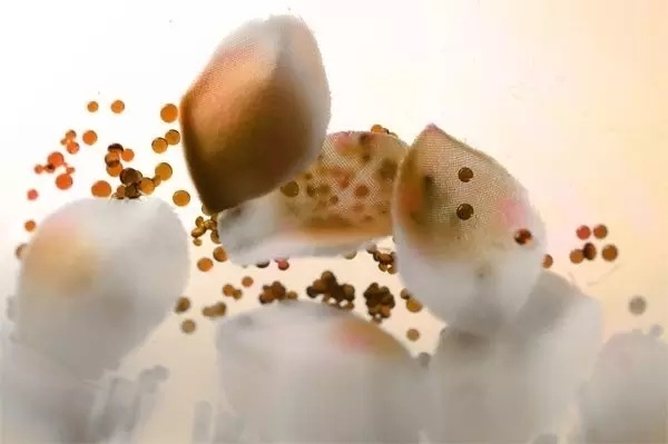 波多野结衣Av在线