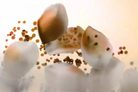 91福利网