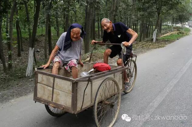 成人 在线 免费 观看