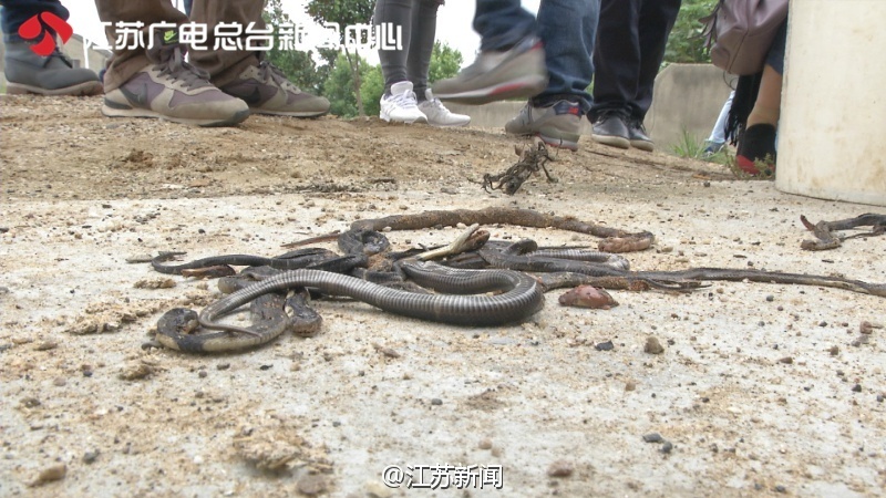 扒开胸罩疯狂揉搓奶头大尺度动漫