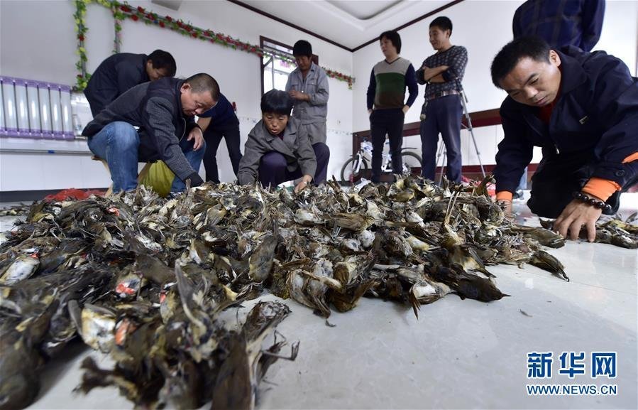 汤姆叔叔提示温馨提醒30