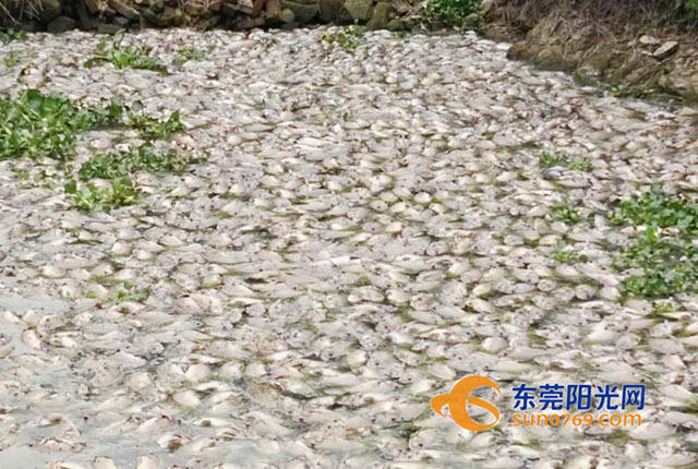 国产黄色网站无码