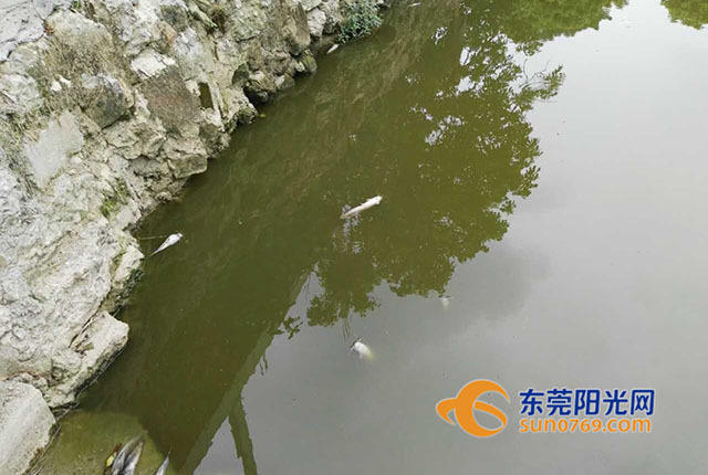 AAA级毛片