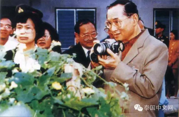 美国禁忌婬乱6
