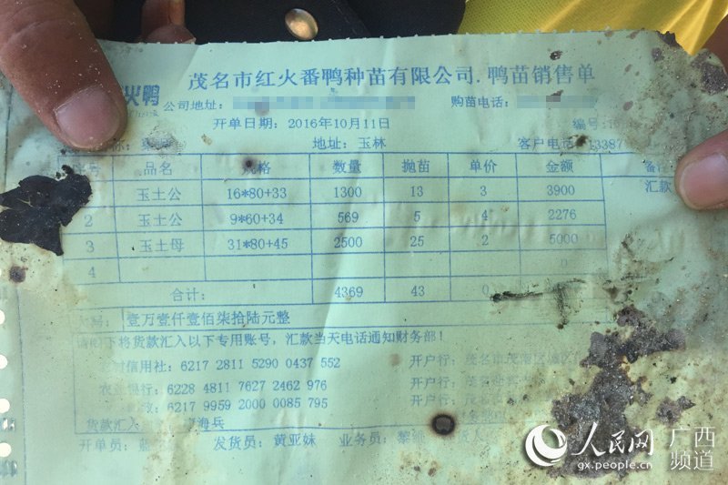 麻辣大胸猫