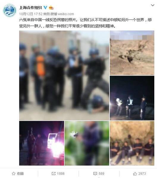 2017年黄色网站