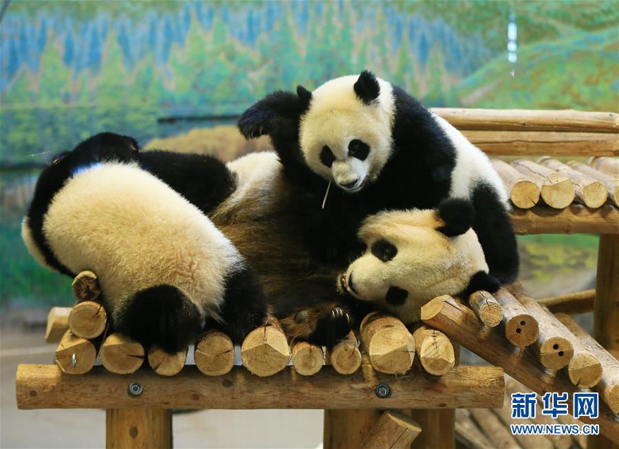 大量潮吹高速抽插