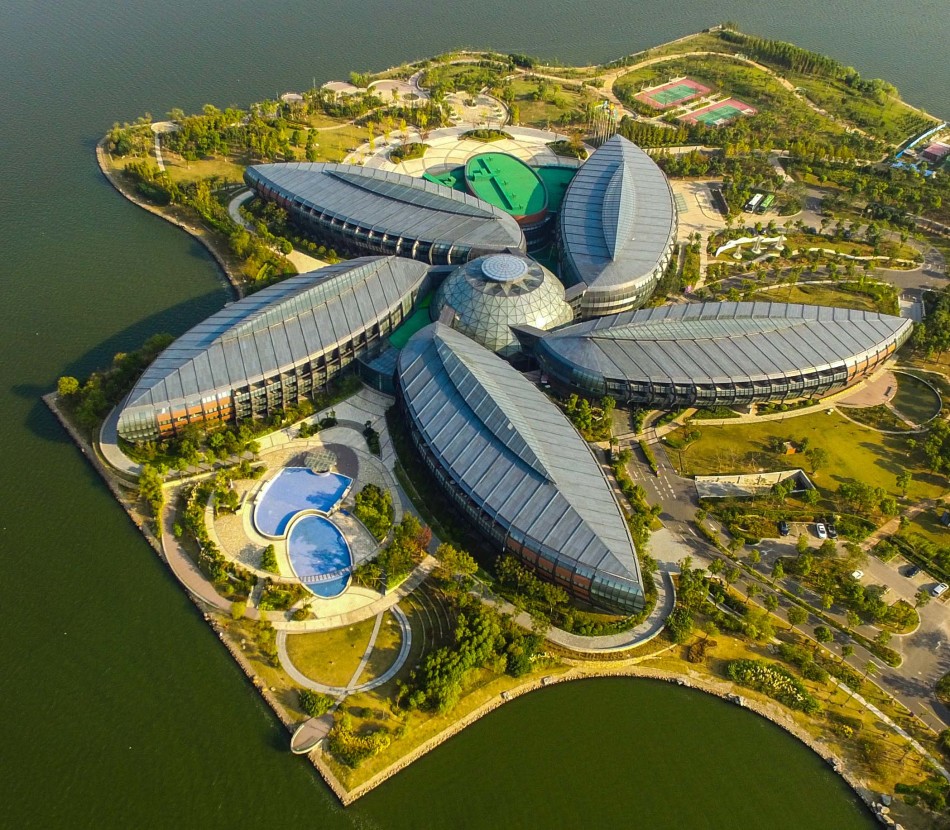 被女寝十几只白丝脚榨精