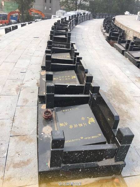 张柏芝两腿之间毛毛图片