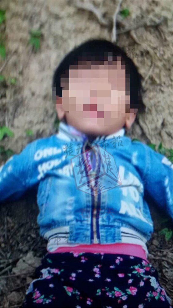 男女模特全裸体视频在线观看