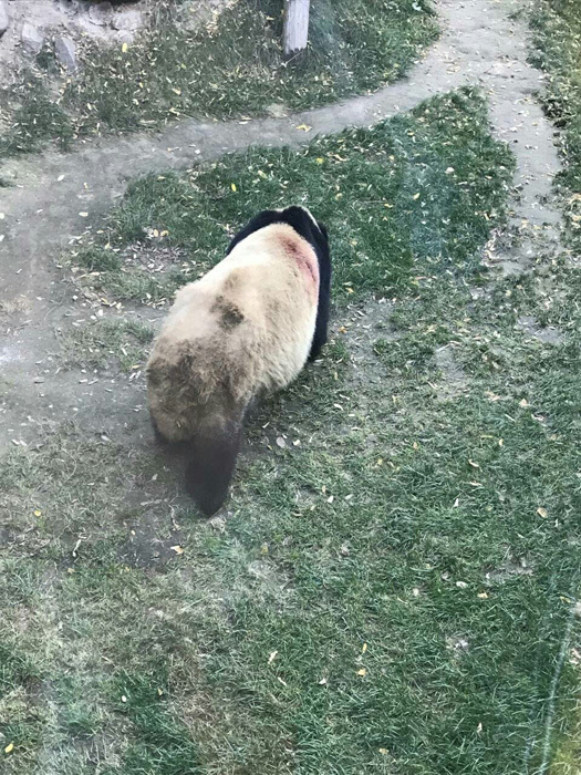 十大黄片软件