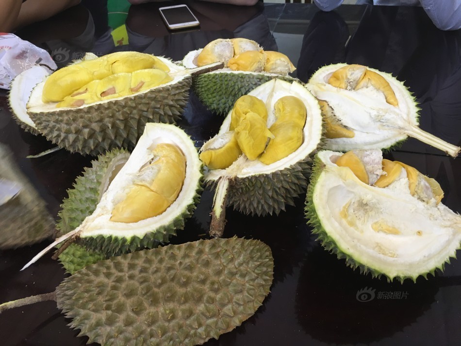 一成年网站免费视频黄A在线
