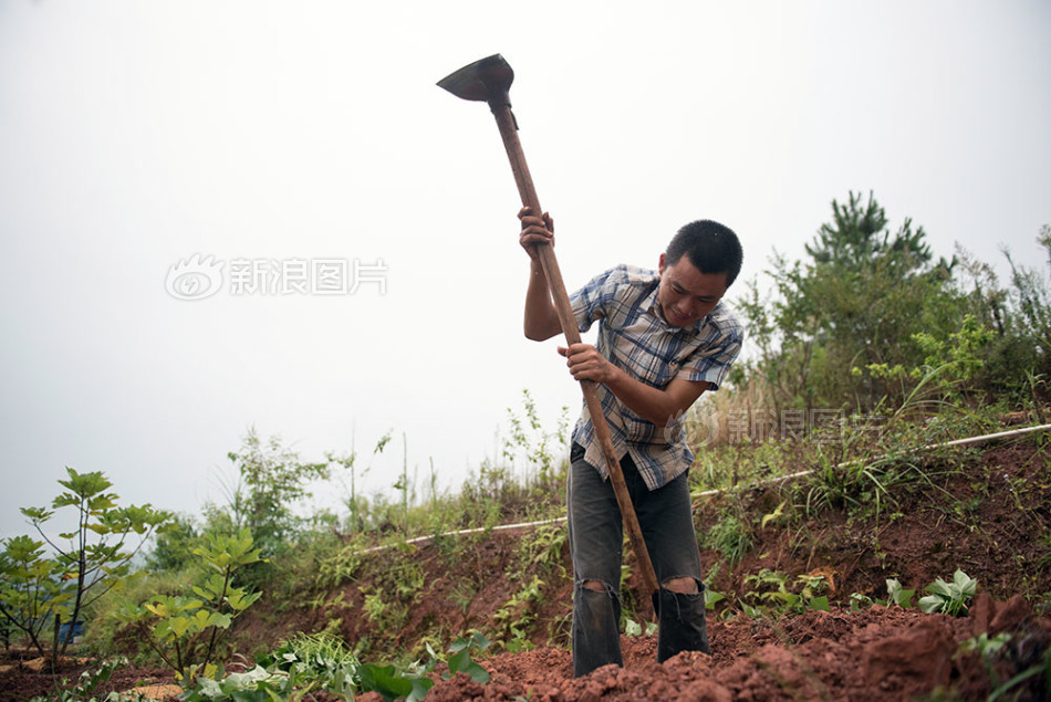 捆绑白丝jk双脚吊起