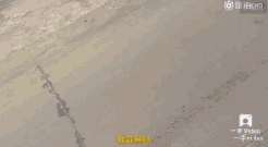欧美三级免费观看