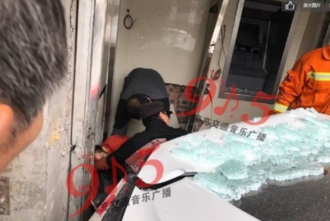 大吊日逼视频免费的