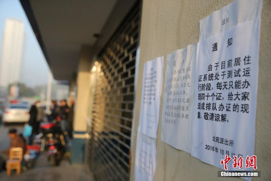 男插女动态图