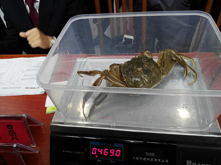 緊身褲
