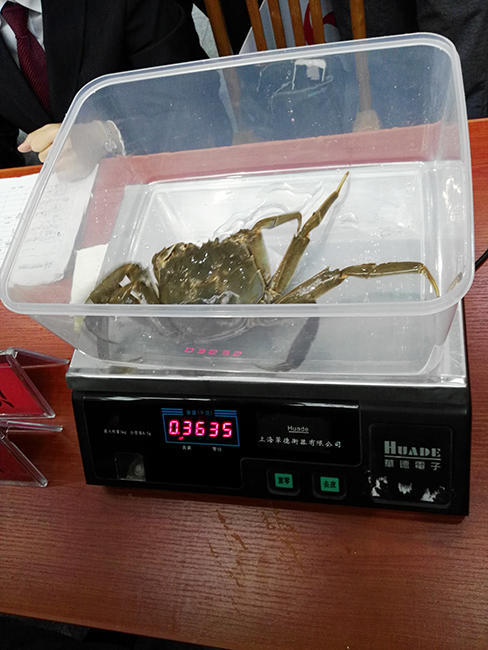色婷婷网
